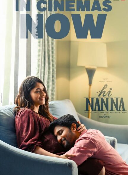 دانلود فیلم هندی سلام نانا (Hi Nanna 2023)